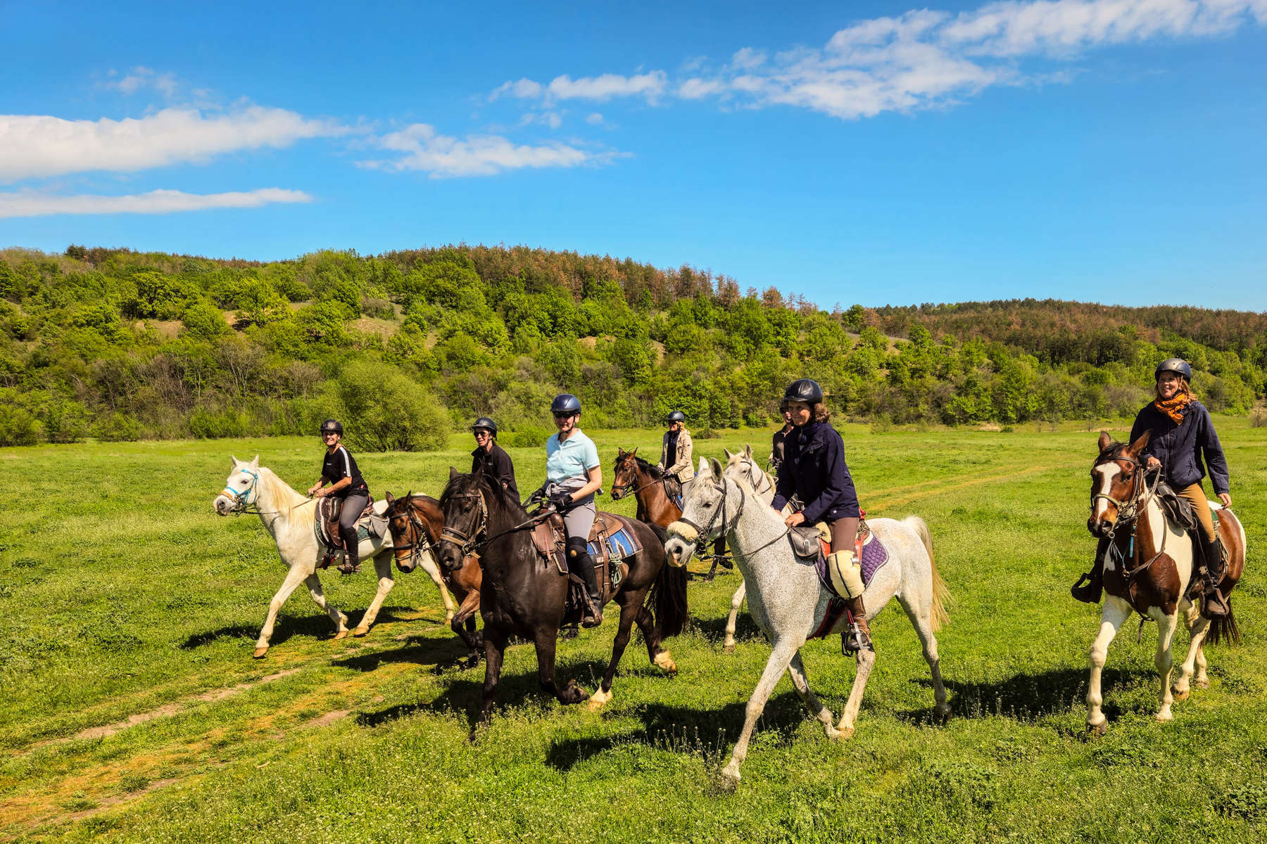 Sur la terre des Empereurs