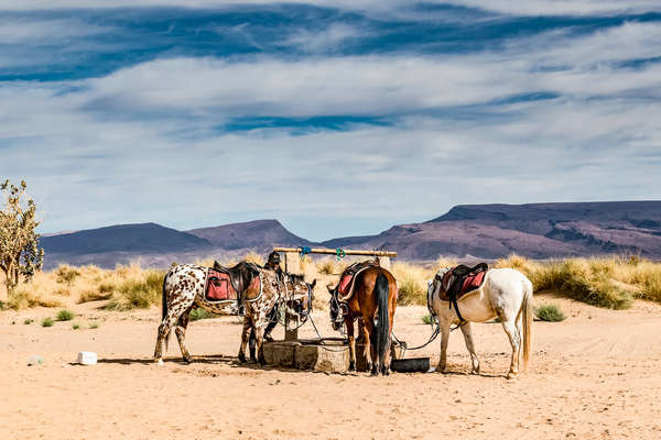 A cheval dans le désert marocain