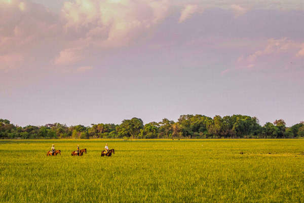 Botswana à cheval