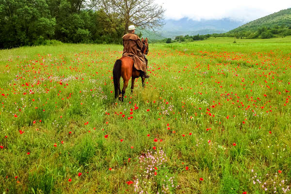 cavalier et cheval dans la campgane en Bulgarie