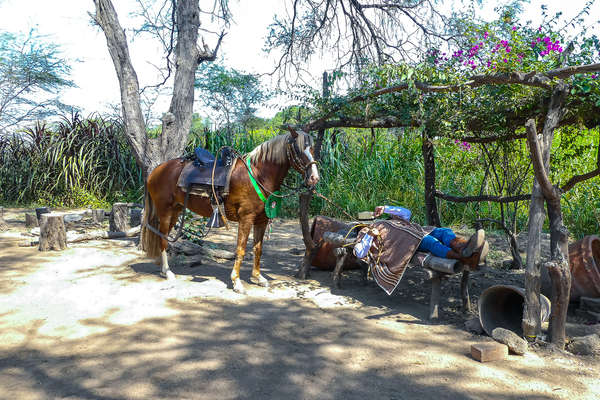 Cavalière et son cheval au Pérou