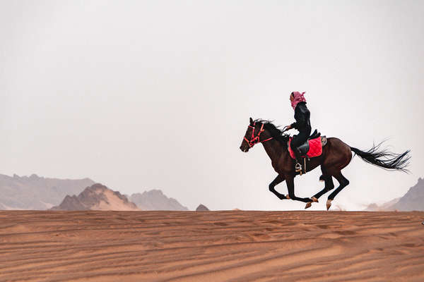 Cheval arabe et sa cavalière au galop sur une dune