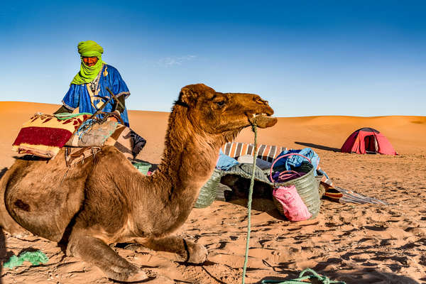 Guide et dromadaire au Maroc