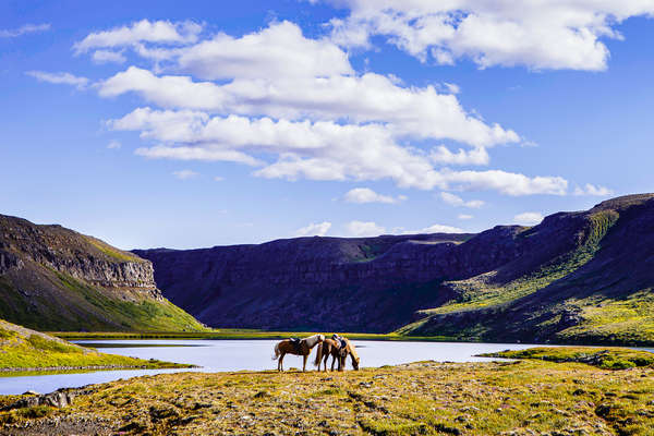 Le fjord Oxarfjordur à cheval
