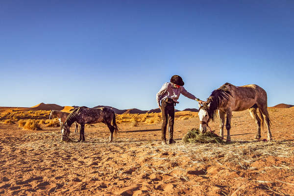 Le Sahara à cheval