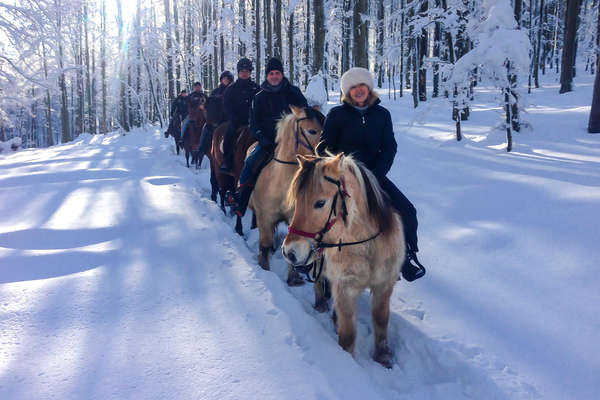 Les Vosges à cheval en hiver