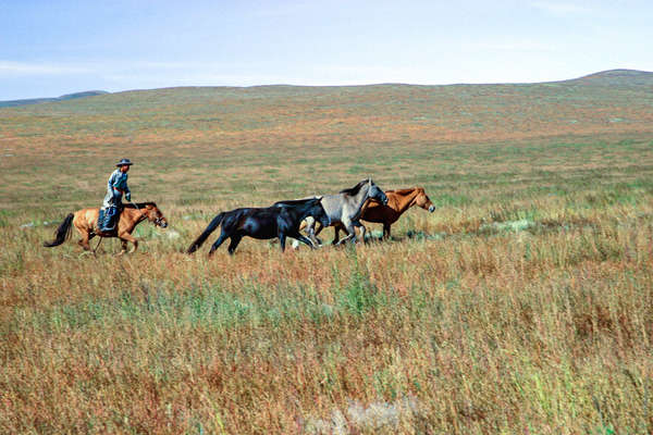 Mongolie centrale à cheval