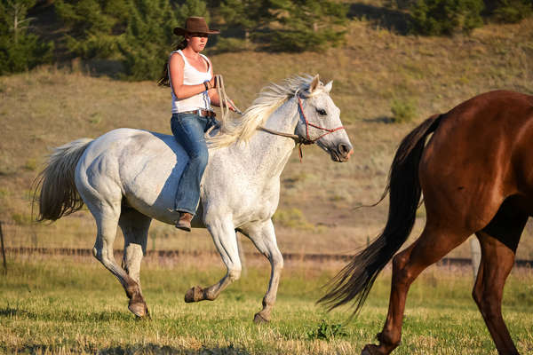 Montana à cheval
