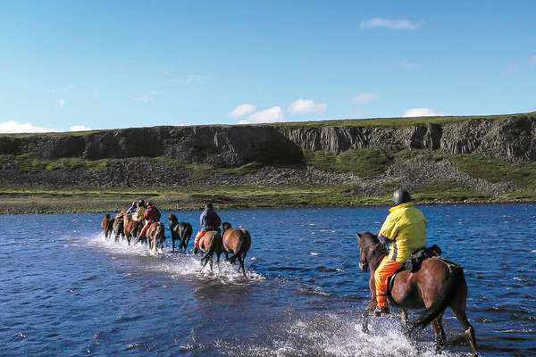 Paysages islandais à cheval