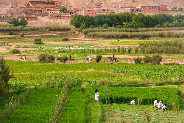Rando à cheval dans les champs de culture au Maroc