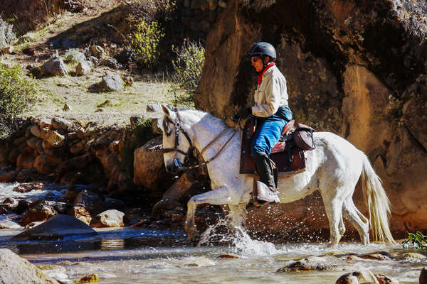 Randonnée à cheval au Pérou