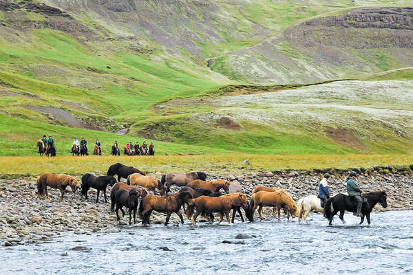 Randonnée à cheval dans le Sud de l'Islande