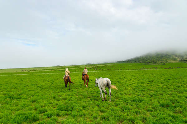 Safari à cheval en Tanzanie