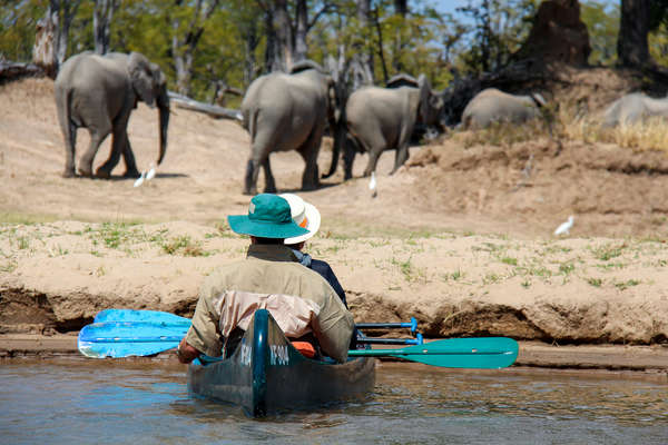 Safari en canoë au Zimbabwe