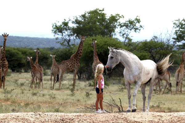 A cheval en Afrique du Sud