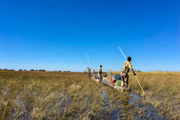 Voyage en mokoro au Botswana