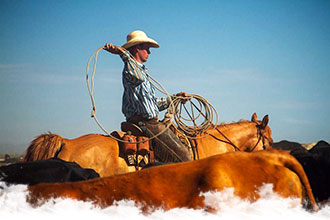 Voyage à cheval aux Etats-Unis