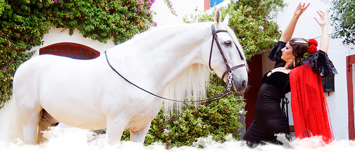 A cheval en Espagne en mai