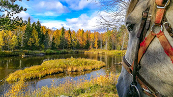 La Laponie à cheval