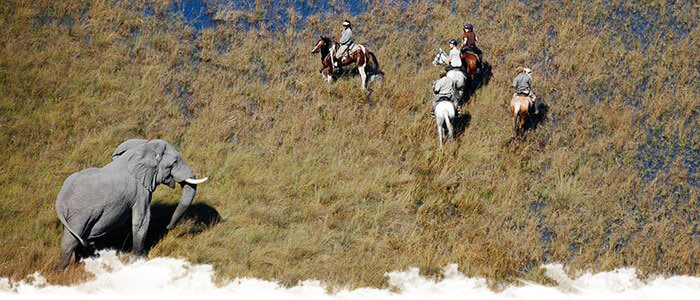 Safari à cheval au Botswana