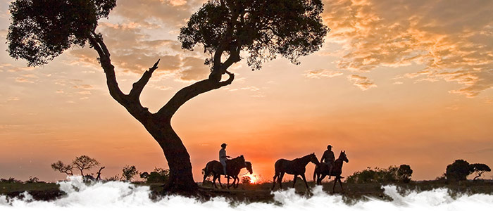 Safari à cheval au Zimbabwe