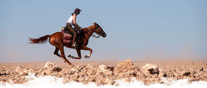 Safari à cheval en Namibie