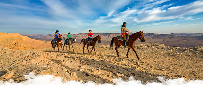 Le Moyen Orient & l'Afrique  à cheval, départs garantis pour la Toussaint