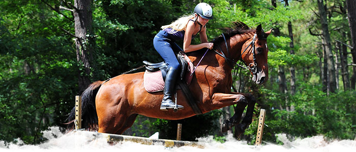 Séjour pour les jeunes  à cheval, départs garantis pour la Toussaint