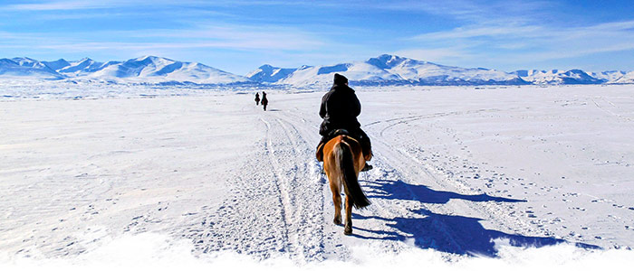 Des vacances à cheval en Février sous un air hivernal