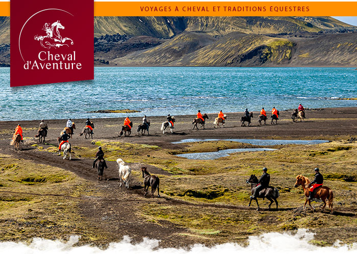 L'Islande à cheval