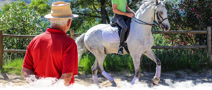 Dressage & Haute école au Portugal