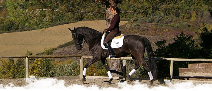 Dressage & Dolce Vita en Italie