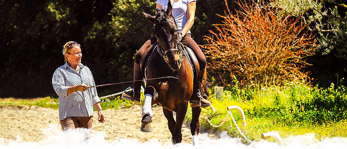 Stage de dressage avec Brigitte Bonnot