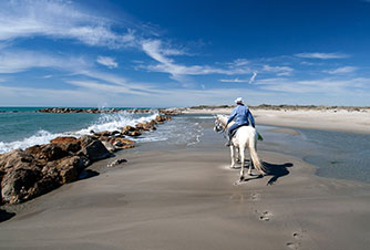 Au galop sur les plages de Camargue