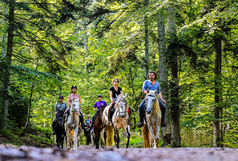 L'Alsace à cheval