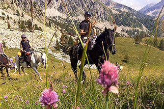 Le Languedoc- Roussillon à cheval