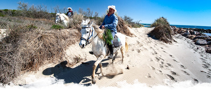 Nos voyages à cheval en Camargue