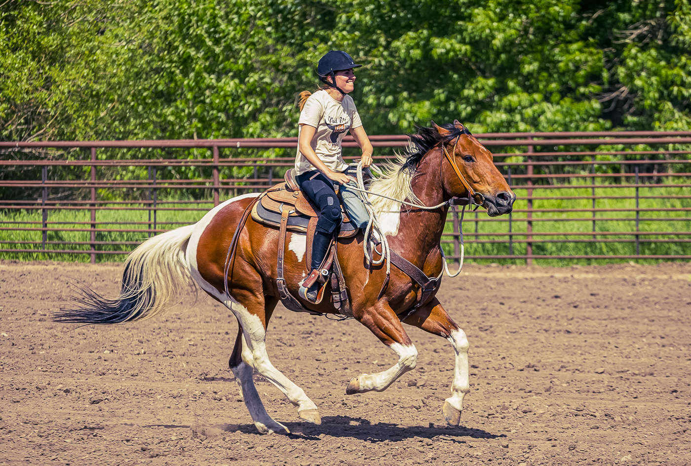 Cheval Ranch Séjour en ranch : vivez comme un cowboy aux Etats-Unis