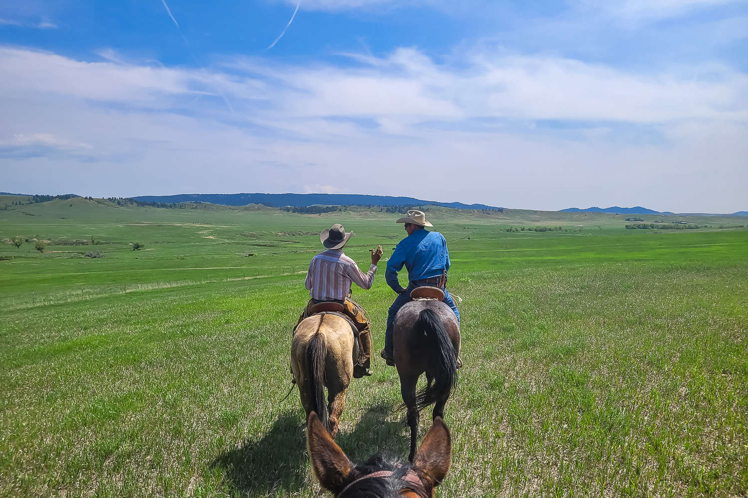 Cheval Ranch Séjour en ranch : vivez comme un cowboy aux Etats-Unis