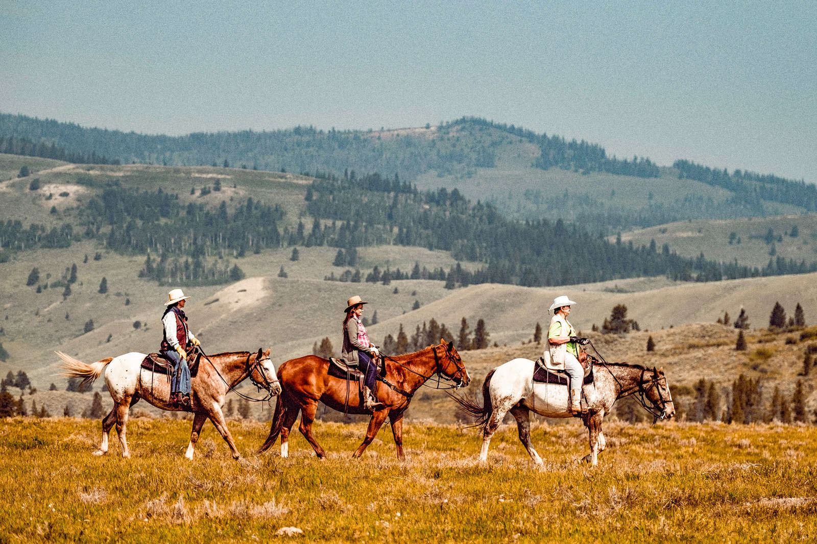Séjour Ranch, familial dans le Montana aux États-Unis | Cheval d'Aventure