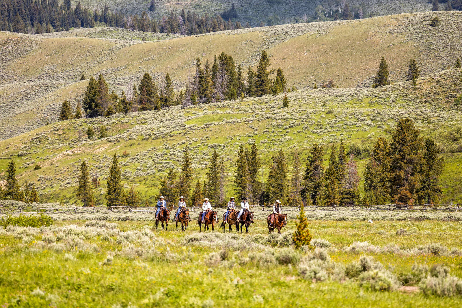 Cheval Ranch Séjour Ranch, familial dans le Montana aux États-Unis