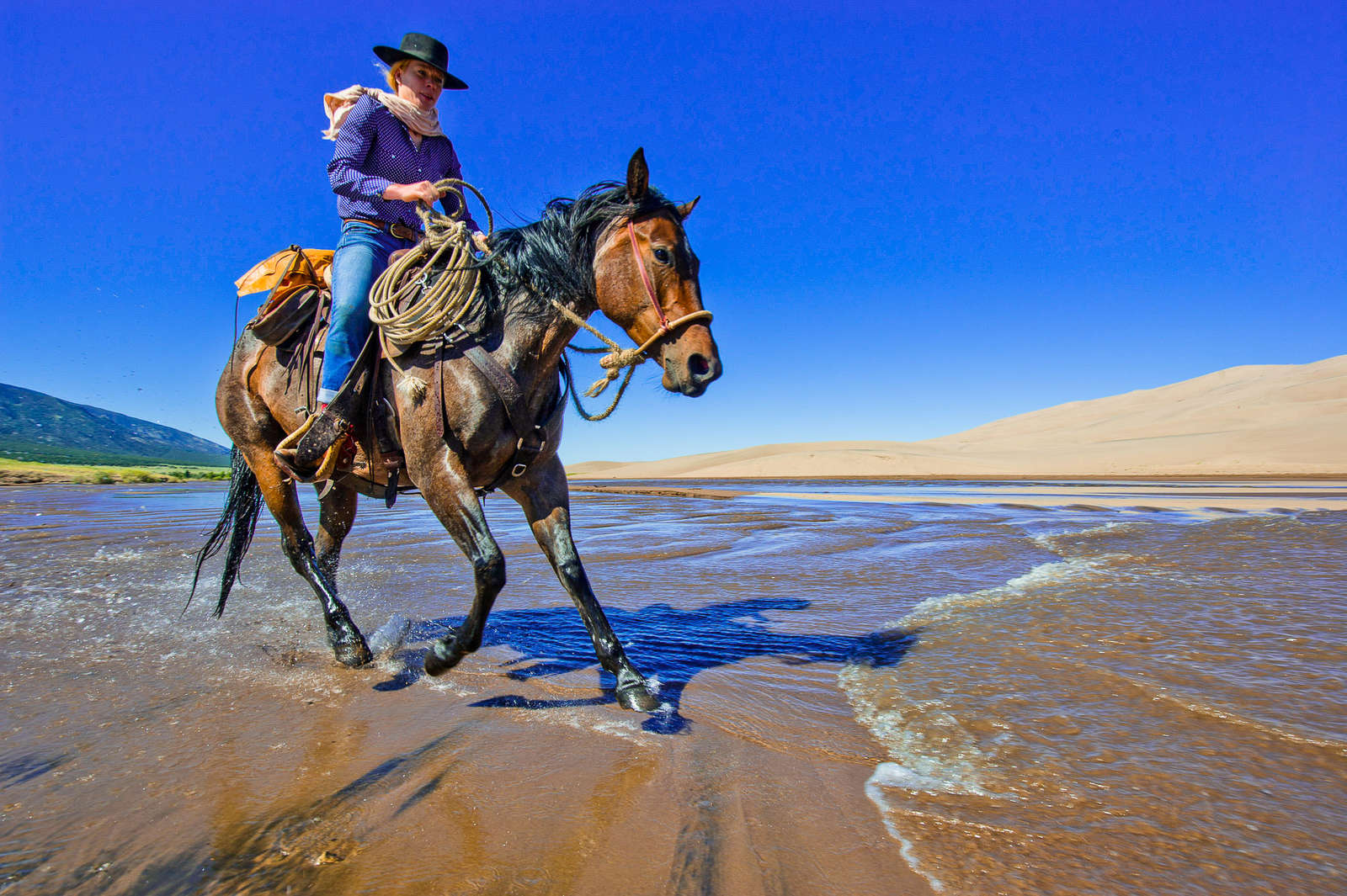 Cheval Ranch Randonnées à cheval et séjours en ranch aux USA