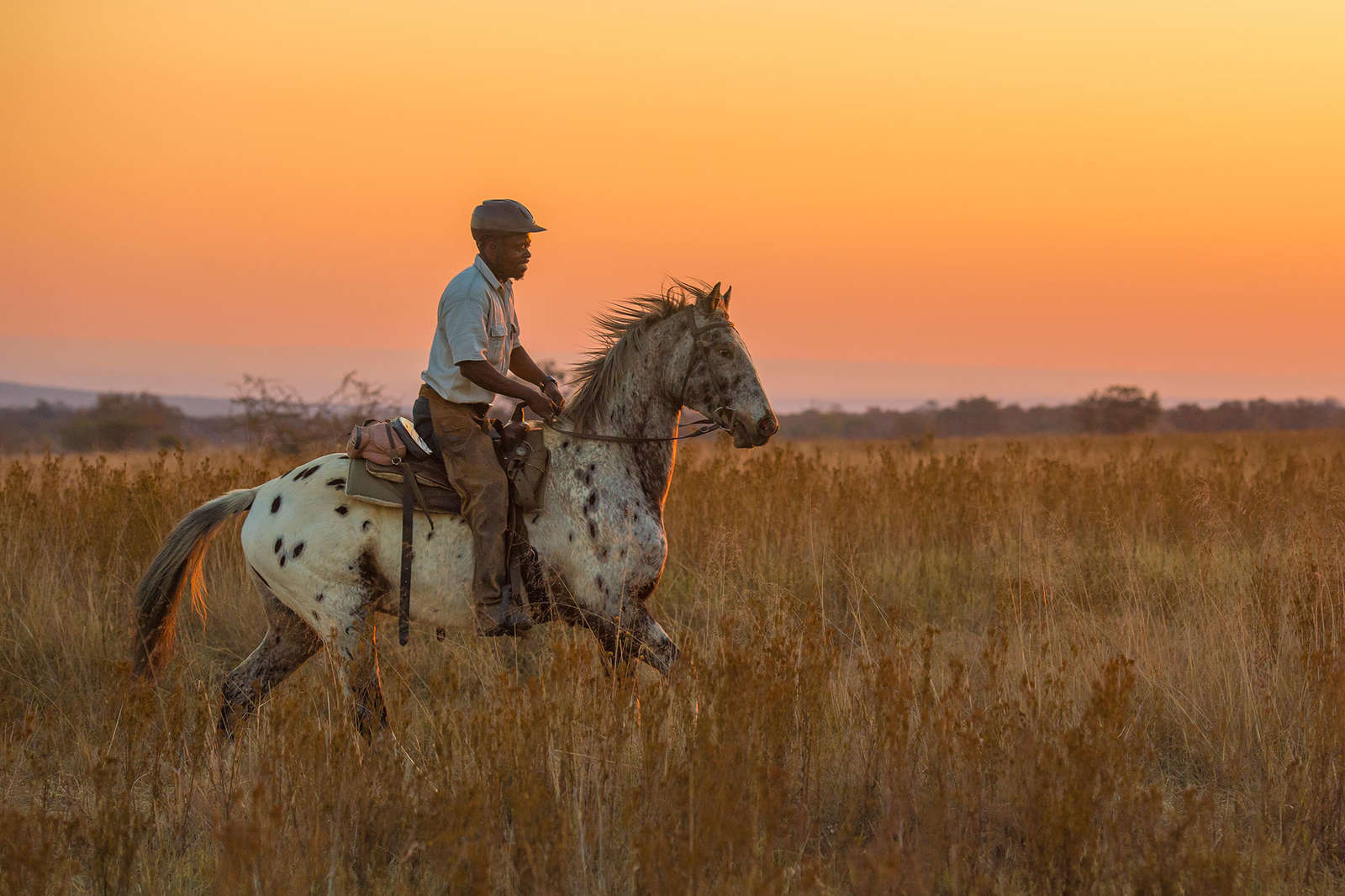 Safari à cheval en Afrique du Sud et au Botswana. | Cheval d'Aventure