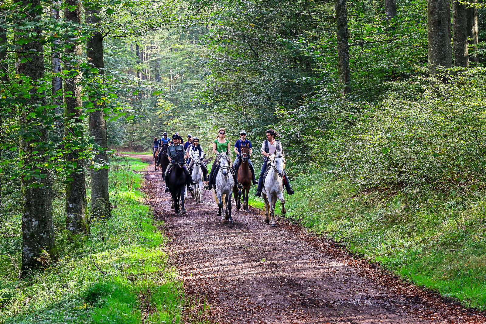 Séjour équestre à la découverte des légendes d'Alsace | Cheval d'Aventure