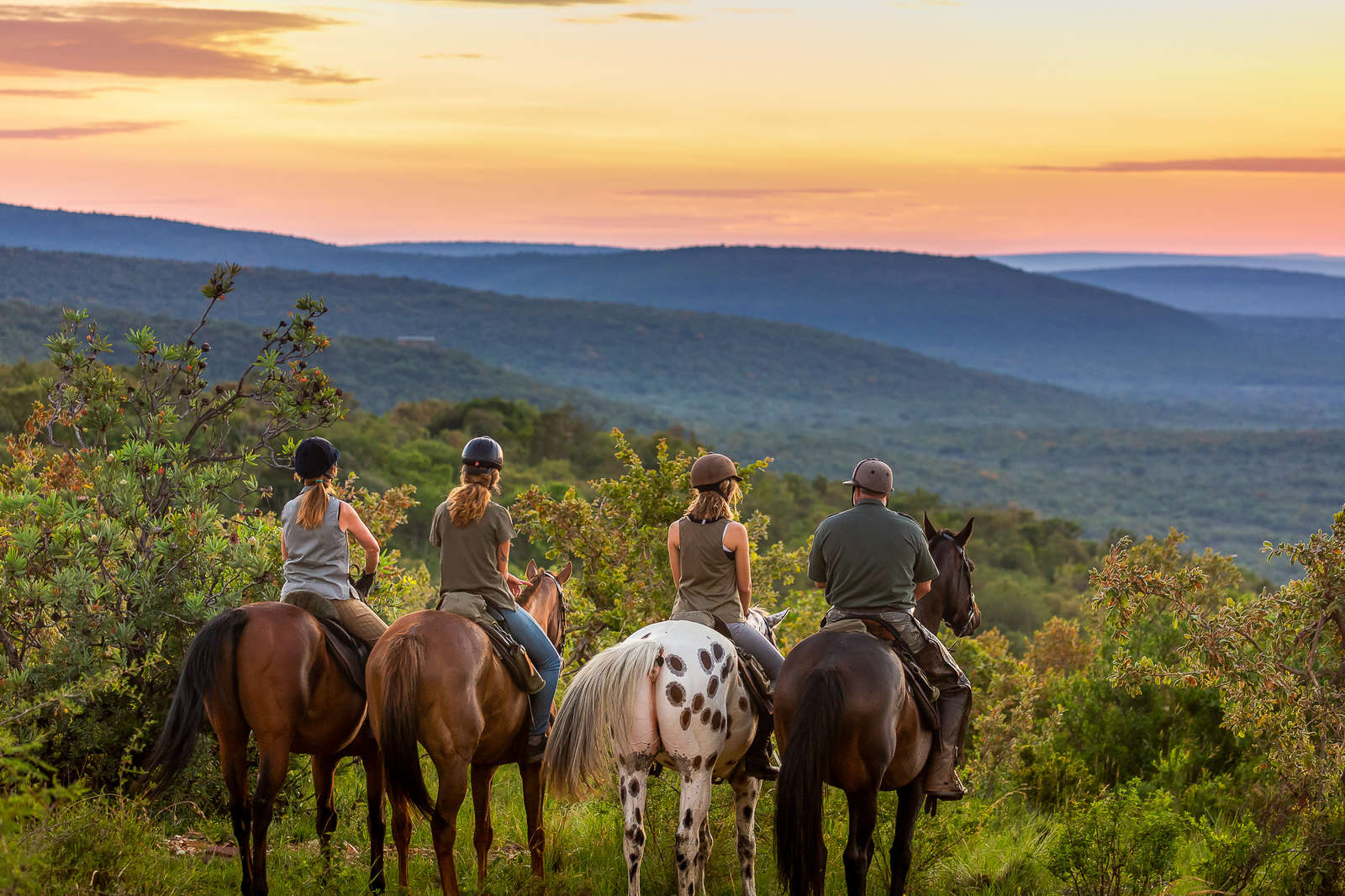 Safari à cheval dans le Waterberg en Afrique du Sud | Cheval d'Aventure