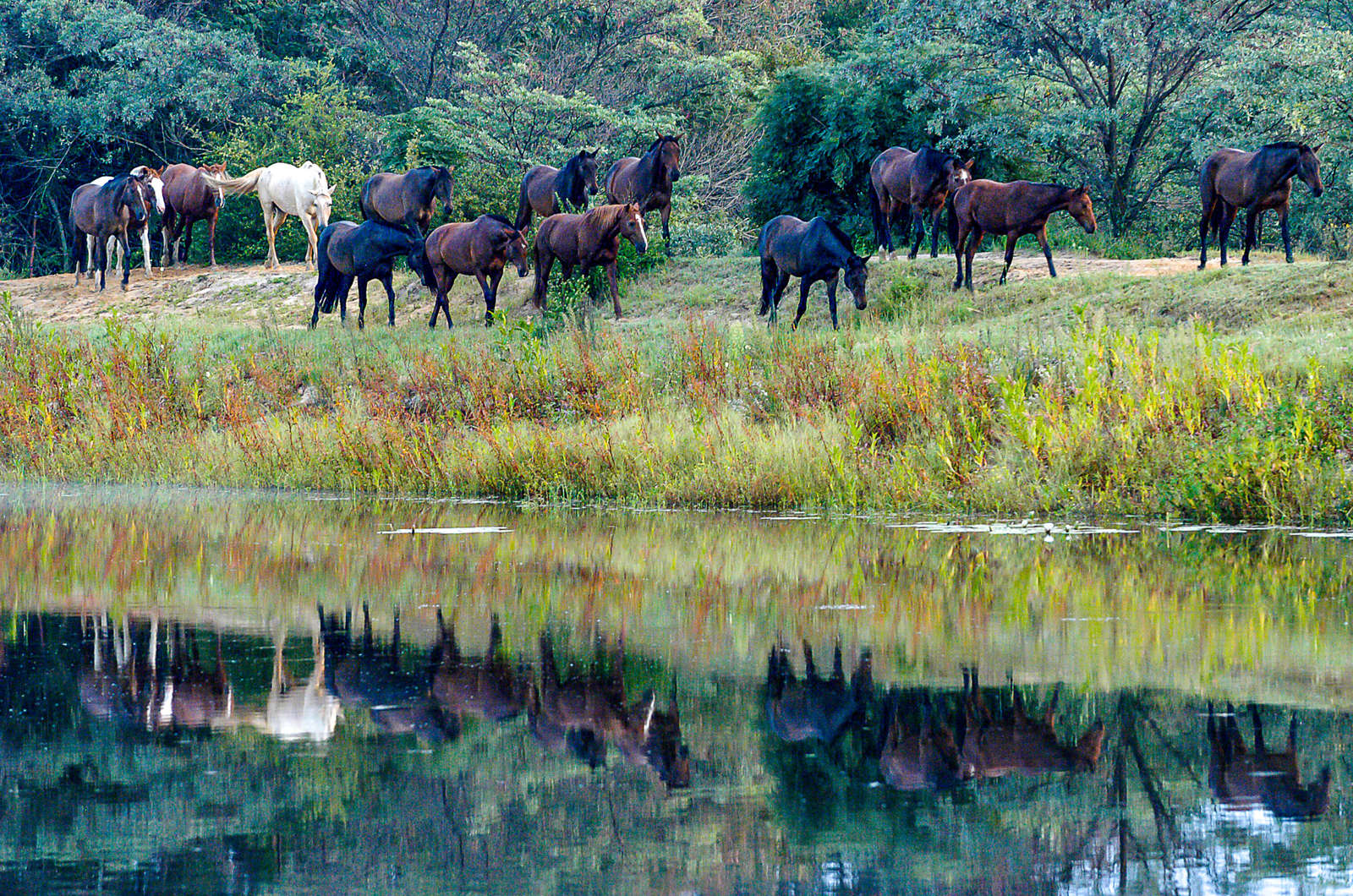 Safari à cheval qui combine Afrique du Sud et Botswana | Cheval d'Aventure