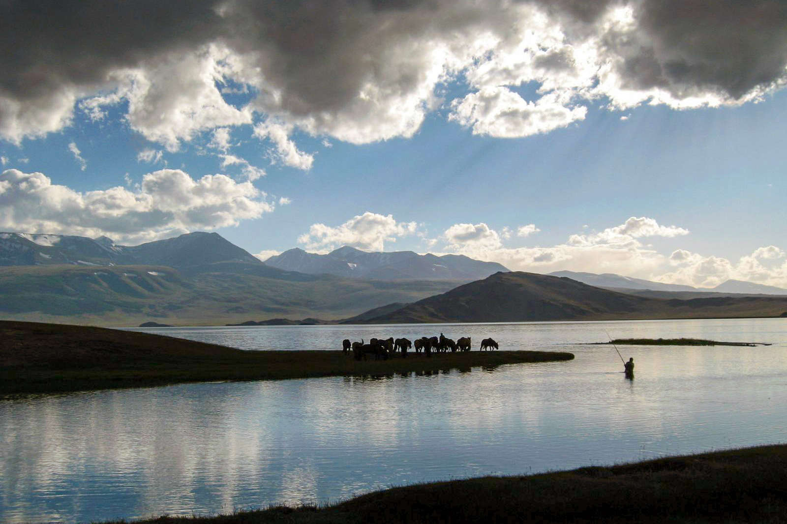 Randonnée à cheval dans l'Altaï en Mongolie Centrale Cheval d'Aventure