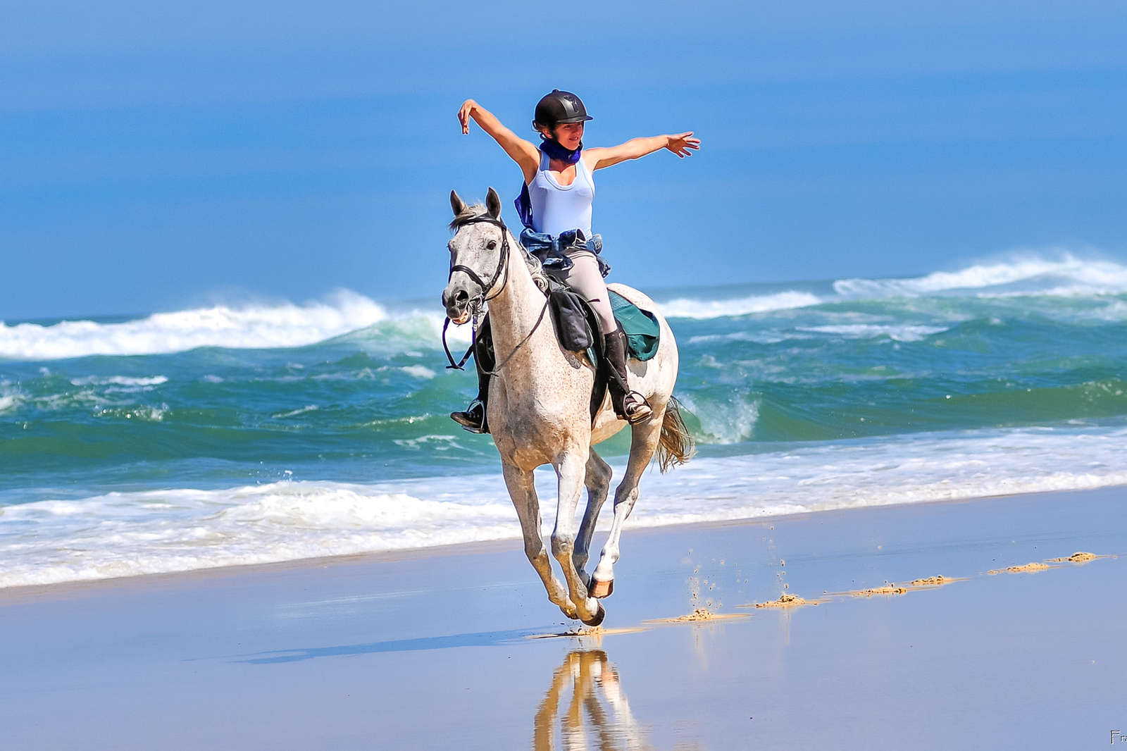 Partez pour une randonnée à cheval en Aquitaine Cheval d'Aventure