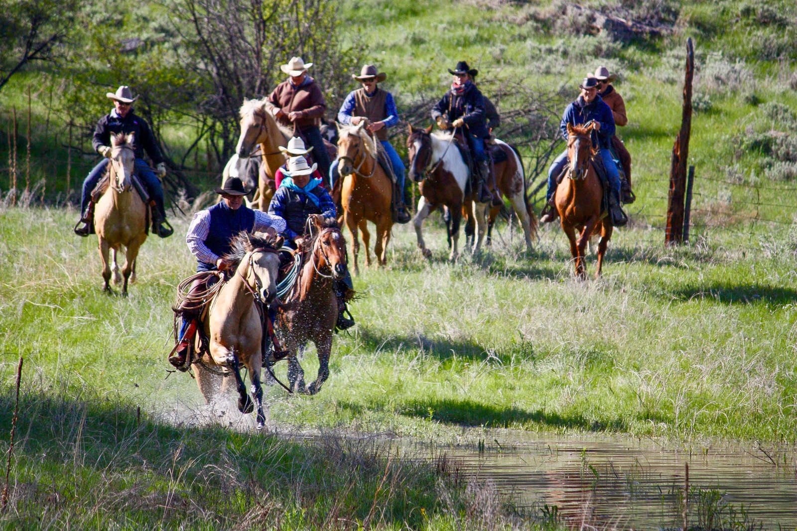 Cheval Ranch Séjour à cheval dans un ranch du Wyoming aux États-Unis