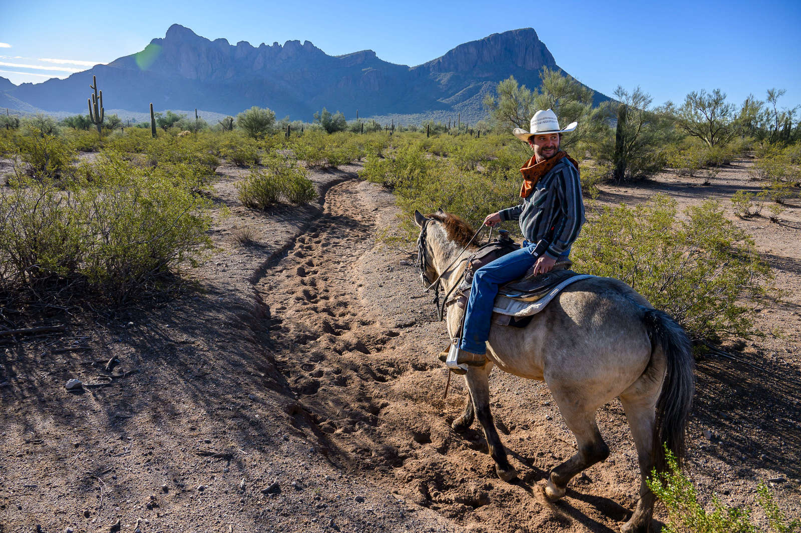 Cheval Ranch Séjour équestre inoubliable dans un ranch en Arizona